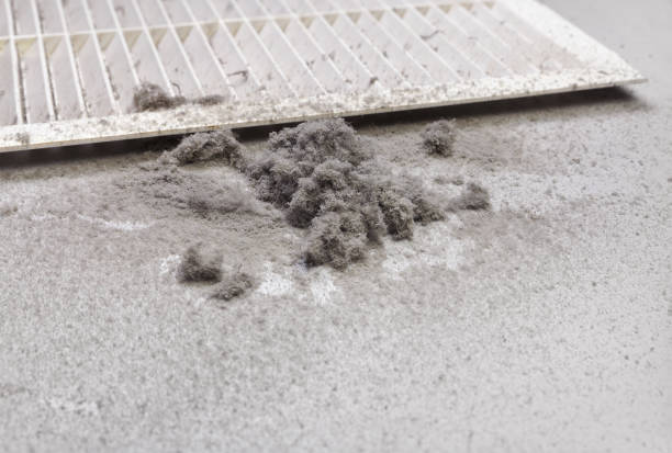Best Home Air Vent Cleaning  in Spring Lake Park, MN
