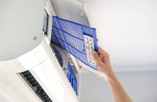 Best Air Duct Sanitizing Services  in Spring Lake Park, MN